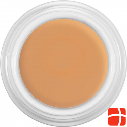 Dermacolor Camouflage Creme D64 Dose 4ml