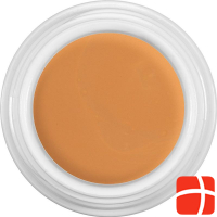 Dermacolor Camouflage Creme Dfd Dose 4ml