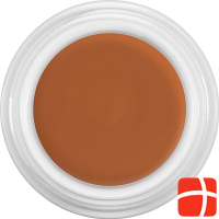 Dermacolor Camouflage Creme D13 Dose 25ml