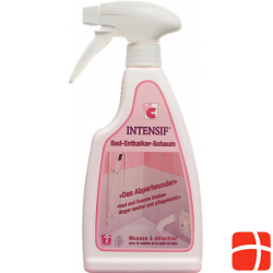 Intensif Bad Entkalker Schaum Liquid 500g