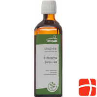 Spagyrik Echinacea Purpurea 500ml