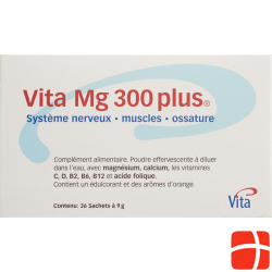 Vita Mg 300 Plus Orangenaroma 36x7.9g