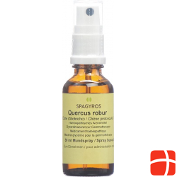 Spagyros Gemmo Quercus Robur Glyc Maz D 1 30ml