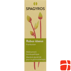 Spagyros Gemmo Rubus Ideaeus Glyc Maz D 1 30ml
