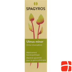 Spagyros Gemmo Ulmus Minor Glyc Maz D 1 30ml