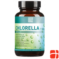 Naturkraftwerke Chlorella Pulver 60g