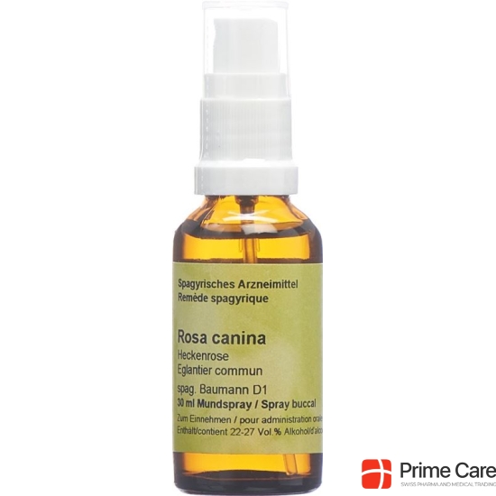 Spagyros Spagyr Rosa Canina Spray 30ml buy online