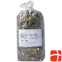 Herboristeria Ice Tea im Sack 80g