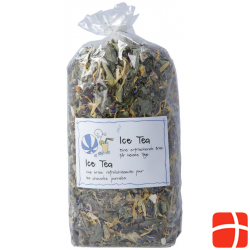 Herboristeria Ice Tea im Sack 80g