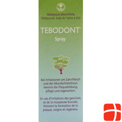 Tebodont Spray 25ml