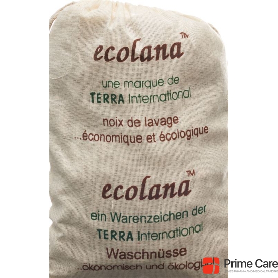 Willemin Waschnuesse 1kg buy online