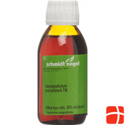 Sn Harpagophytum Urtinkt Flasche 125ml