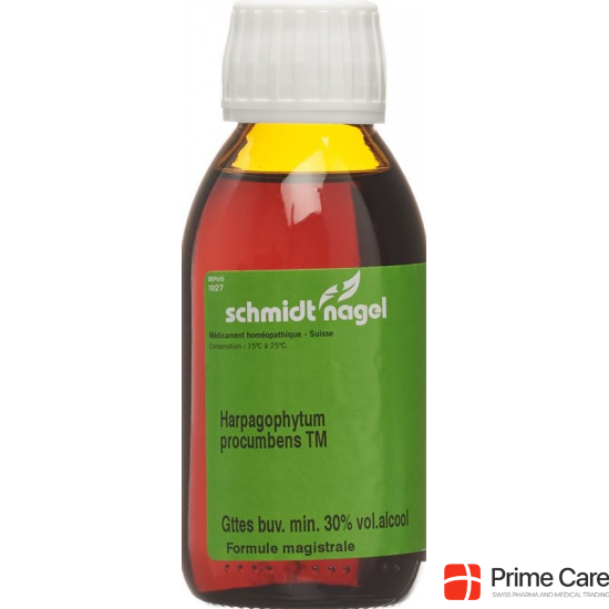 Sn Harpagophytum Urtinkt Flasche 125ml buy online