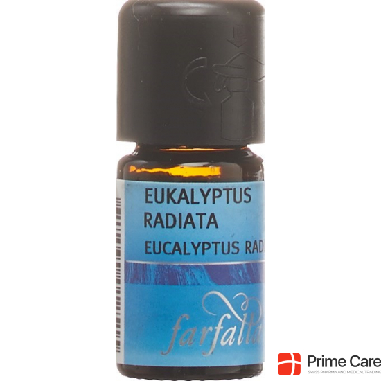 Farfalla Eukalyptus Radiata Ätherisches Öl Bio 5ml buy online