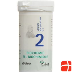 Pflueger Schüssler Nr. 2 Calc Phos Tabletten D 6 100g