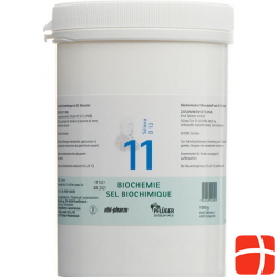 Pflueger Schüssler Nr. 11 Silicea Tabletten D 12 1000g