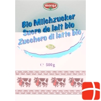 Morga Milchzucker Bio 500g