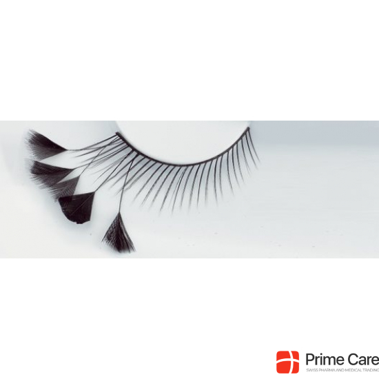 Stargazer Eyelashes S44 2 pieces buy online