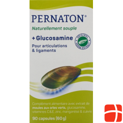 Pernaton Plus Glucosamine Capsules Can 90 pieces