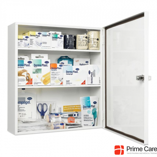 IVF Hausapo Metal Cabinet Filled buy online