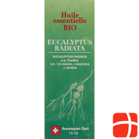 Aromasan Eukalyptus Radiata Ätherisches Öl 15ml
