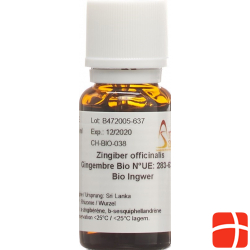 Aromasan Ingwer Ätherisches Öl 15ml