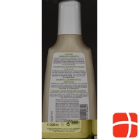 Rausch Avocado Shampoo 200ml