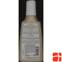 Rausch Avocado Shampoo 200ml