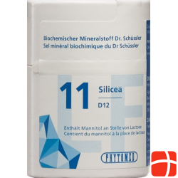 Phytomed Schüssler Nr. 11 Tabletten D 12 Lactosefrei 200 Stück