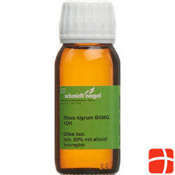 Sn Ribes Nigrum Bg Glyc Maz Dh 1 125ml