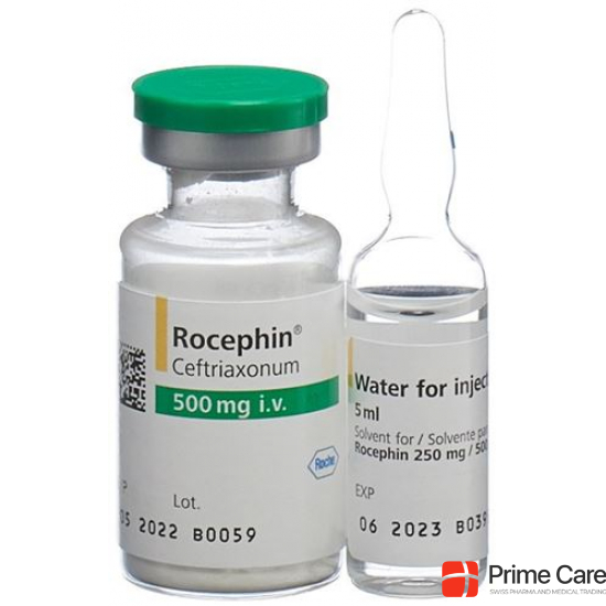 Rocephin 500mg i.v. C Solv Durchstechflasche 5 Stück buy online