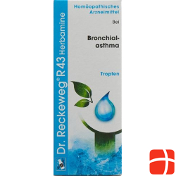 Reckeweg R43 Herbamine Tropfen Flasche 50ml