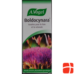 A. Vogel Boldocynara Tropfen 100ml