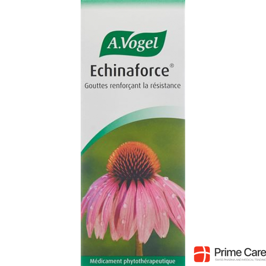 Vogel Echinaforce Resistenz-Erkältung Tropfen 200ml buy online