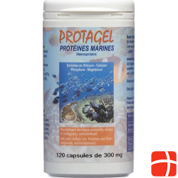 Protagel Complex Acides Amines Dose 240 Stück