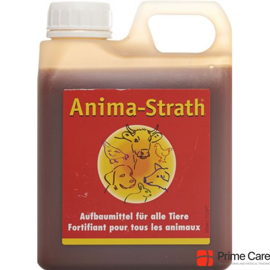 Anima Strath Aufbaumittel 5 Liter buy online