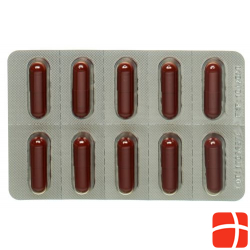 Itraconazol Helvepharm Kapseln 100mg 30 Stück