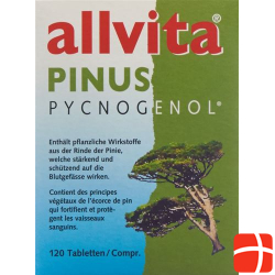 Allvita Pinus Pycnogenol Tabletten 120 Stück