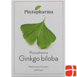 Phytopharma Ginkgo Biloba Kapseln Dose 60 Stück