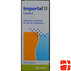 Importal Lösung 12x 500ml