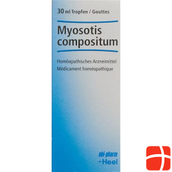 Myosotis Comp Heel Tropfen Flasche 100ml