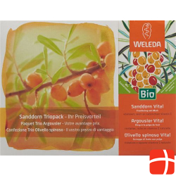 Weleda Sanddorn Vital Sirup Trio 3 Flasche 200ml