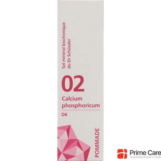 Phytomed Schüssler Nr. 2 Calc Phos Salbe D 6 500g buy online