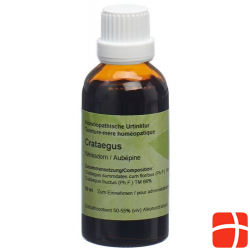 Spagyros Crataegus Oxyacantha Urtinkt 100ml