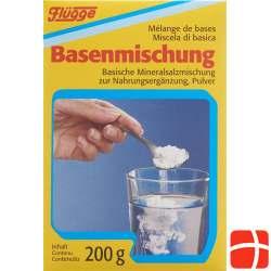 Flügge Basenmischung Pulver 200g