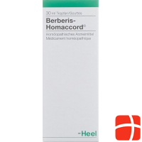 Homaccord Berberis Tropfen 30ml