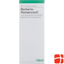 Homaccord Berberis Tropfen 30ml