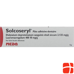 Solcoseryl Dental Adhaesivpaste 5g