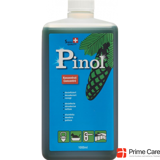 Pinol Liquid Flasche 1L buy online