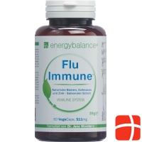 Energybalance Flu-Immune Kapseln 60 Stück